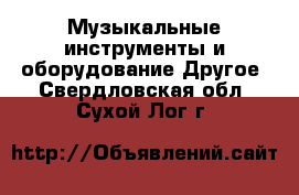 Музыкальные инструменты и оборудование Другое. Свердловская обл.,Сухой Лог г.